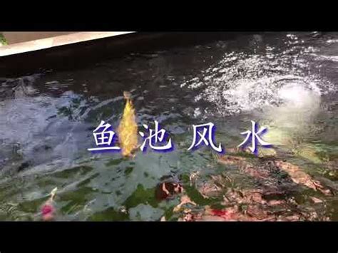 風水池功能|超吸睛風水池設計